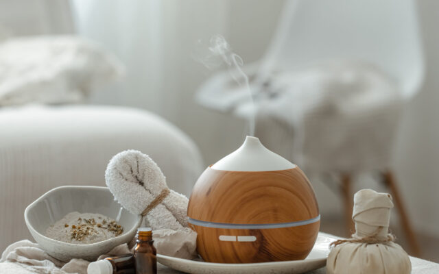 Cozy still life with a humidifier in the interior of the room on a blurred background.